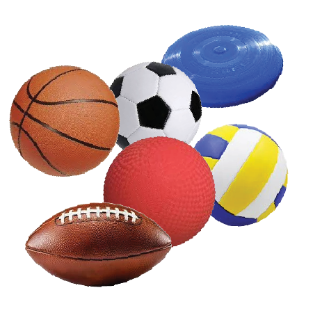 Football, Basketball, Soccer Ball, Kickball, Volleyball + Frisbee