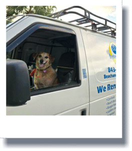 Kiwi, our operations coordinator - driving a delivery van!